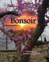 Ahmedhamimed2's tweet photo. @vicxcampell https://t.co/GoHNcld2rT