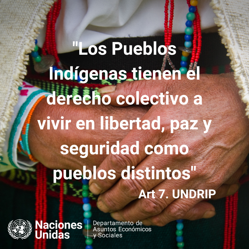 UN4Indigenous's tweet photo. Hoy es el Día Internacional de la Paz!

Art.7 de la #UNDRIP dicen que "Los #PueblosIndígenas tienen el derecho colectivo a vivir en libertad, paz y seguridad como pueblos distintos"
#DíaDePaz #SomosIndígenas https://t.co/xrHfxISpyX