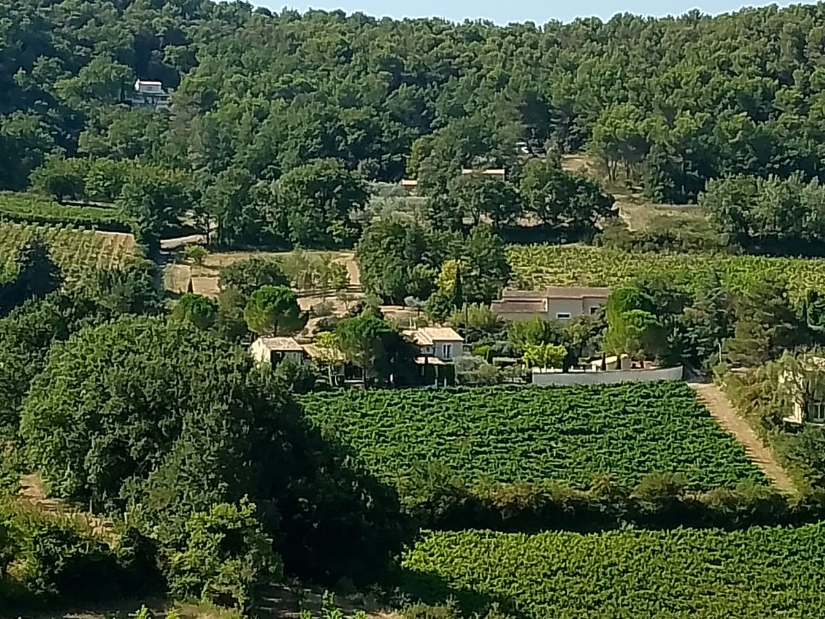 Deville Cavellin Patrick (@cavellinpatrick) on Twitter photo 