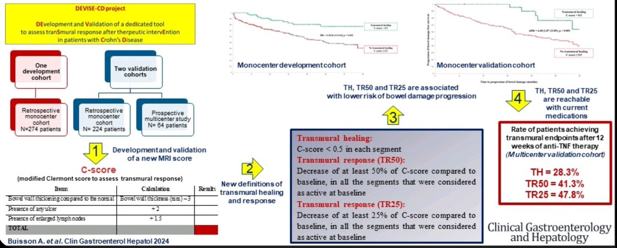 BuissonPr's tweet photo. DEVISE-CD project in @AGA_CGH 
A new MRI score (C-score) dedicated to define and assess transmural healing  and response  in patients with CD.
 C-score is now a validated, reliable and easy-to-use tool to assess therapeutic efficacy.
https://t.co/5ZhzmhqQz5 https://t.co/KiEenON1cG