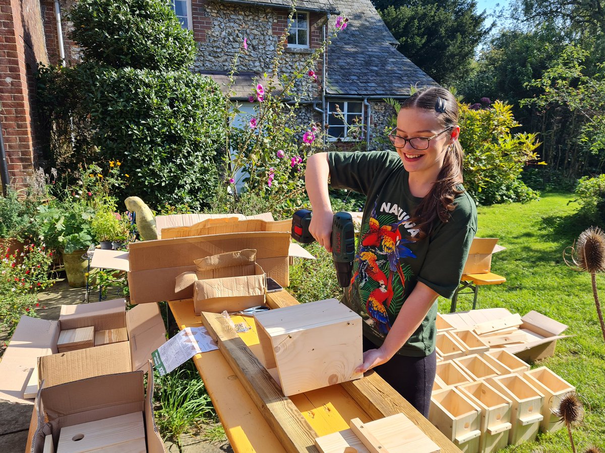 fbuner's tweet image. A #studentplacement @Gameandwildlife involves many different conservation activities, from data entry, science writing, to field work as well as very practical hands on skills. Here, my current student Sophie Jackson from @UniLeeds is assembling sparrow boxes @Perdixwildlife.