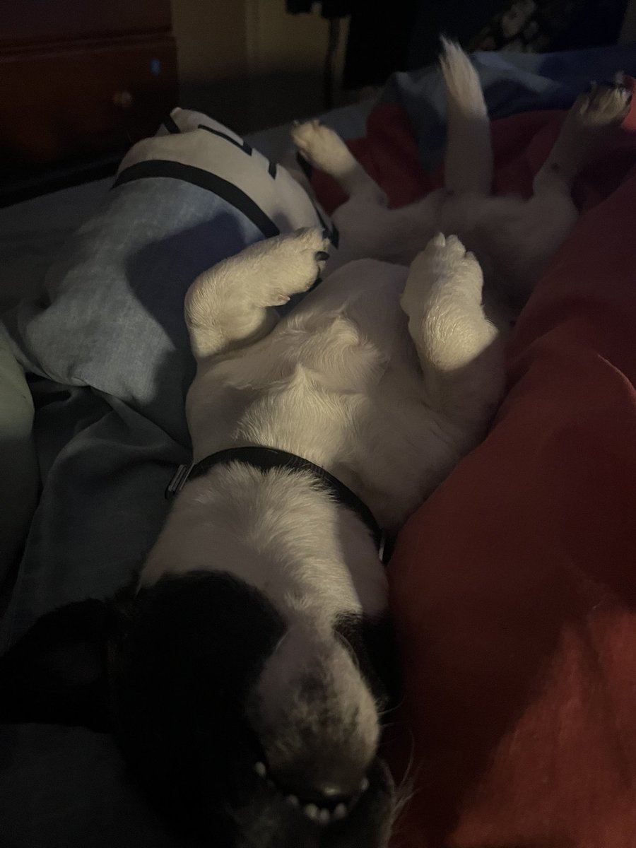 It’s Murray’s world, we’re just existing in it