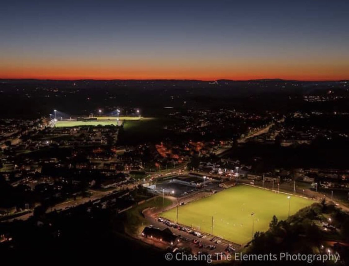 Tomás Colton tweet media