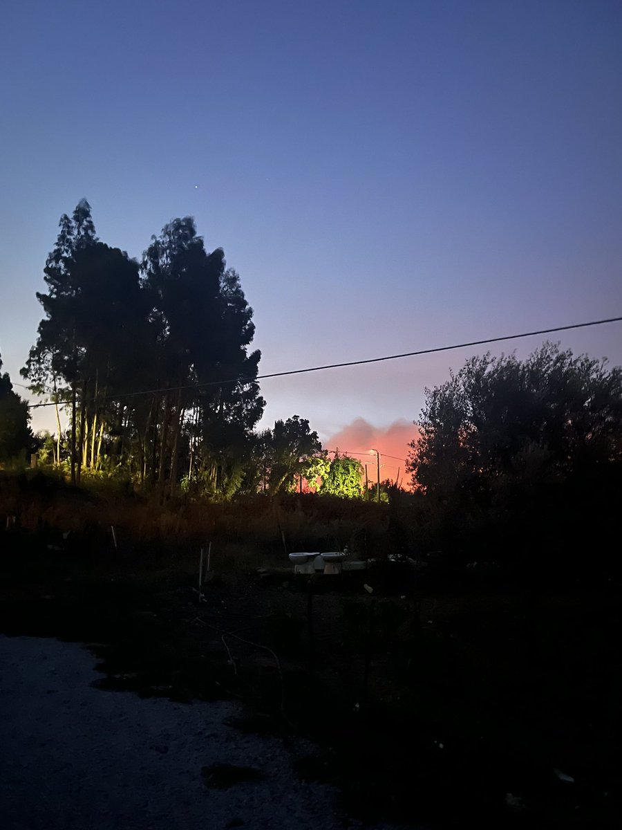 Fluffy_Gutter's tweet photo. I’m pretty inactive everywhere, mainly due my health that had a decline, and now due the huge fires that are currently active in Portugal, how I live in one dangerous area I’m fearful for my family; pets and home.

For now we are safe, we don’t know for how long tho.. https://t.co/b9QzhZoJHa
