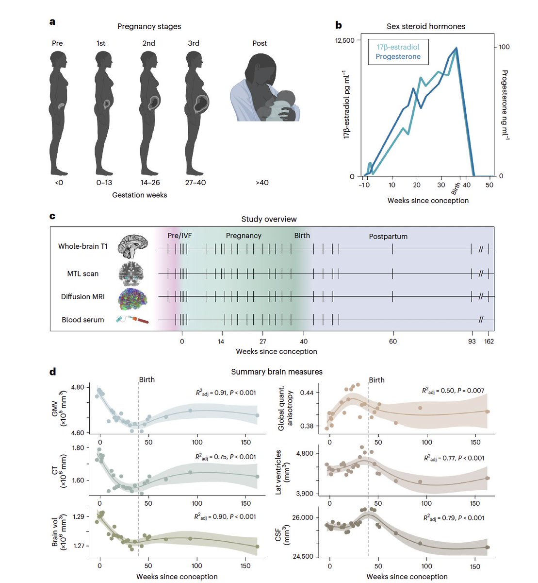 Valentin Ourry tweet media