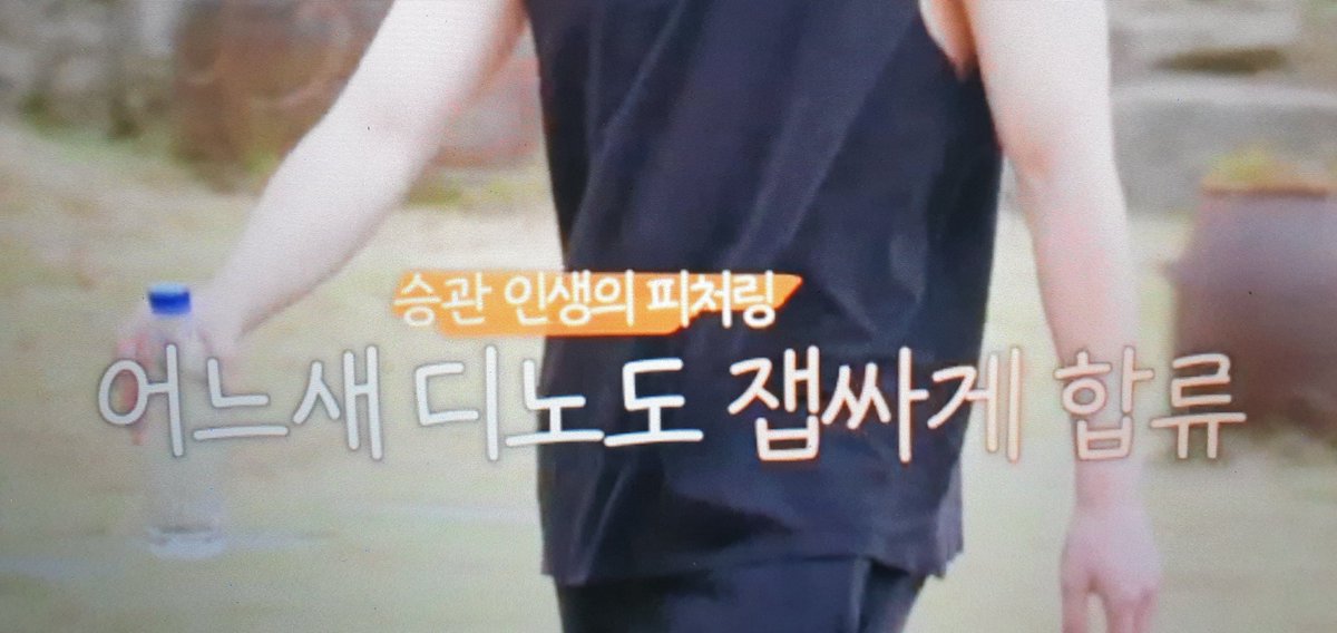자막의 난