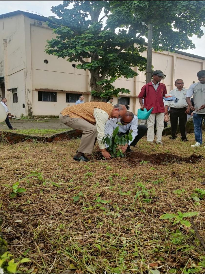 Mpf_Avnl's tweet photo. AVNL Ambarnath unit today continued its efforts towards Swachhata hi Seva drive with tree plantation campaign under the leadership for Shri P K Bummerkar, CGM. 
#SwachhataHiSeva2024 #SHS2024     @SwachhBharatGov
#CleanIndia #SwachhBharat 
#एक_पेड़_माँ_के_नाम https://t.co/3vXmxp2P7H