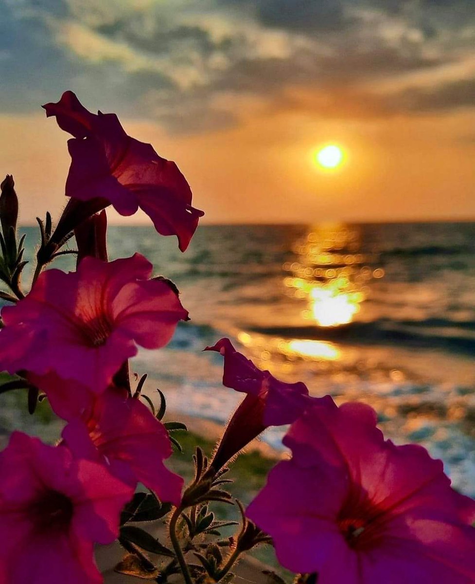 mwangibernard2's tweet photo. #SundownerKBC @kbcenglish beauty of sundowner https://t.co/aUuFcv5jbq