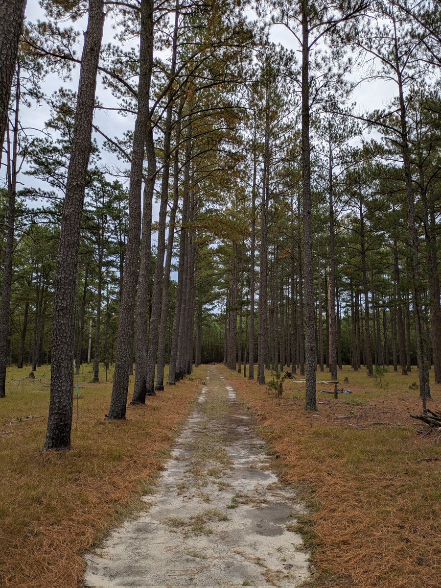 Rain holding off for now on the field tour of the Cohesive Strategy Workshop. #CSWorkshop2024