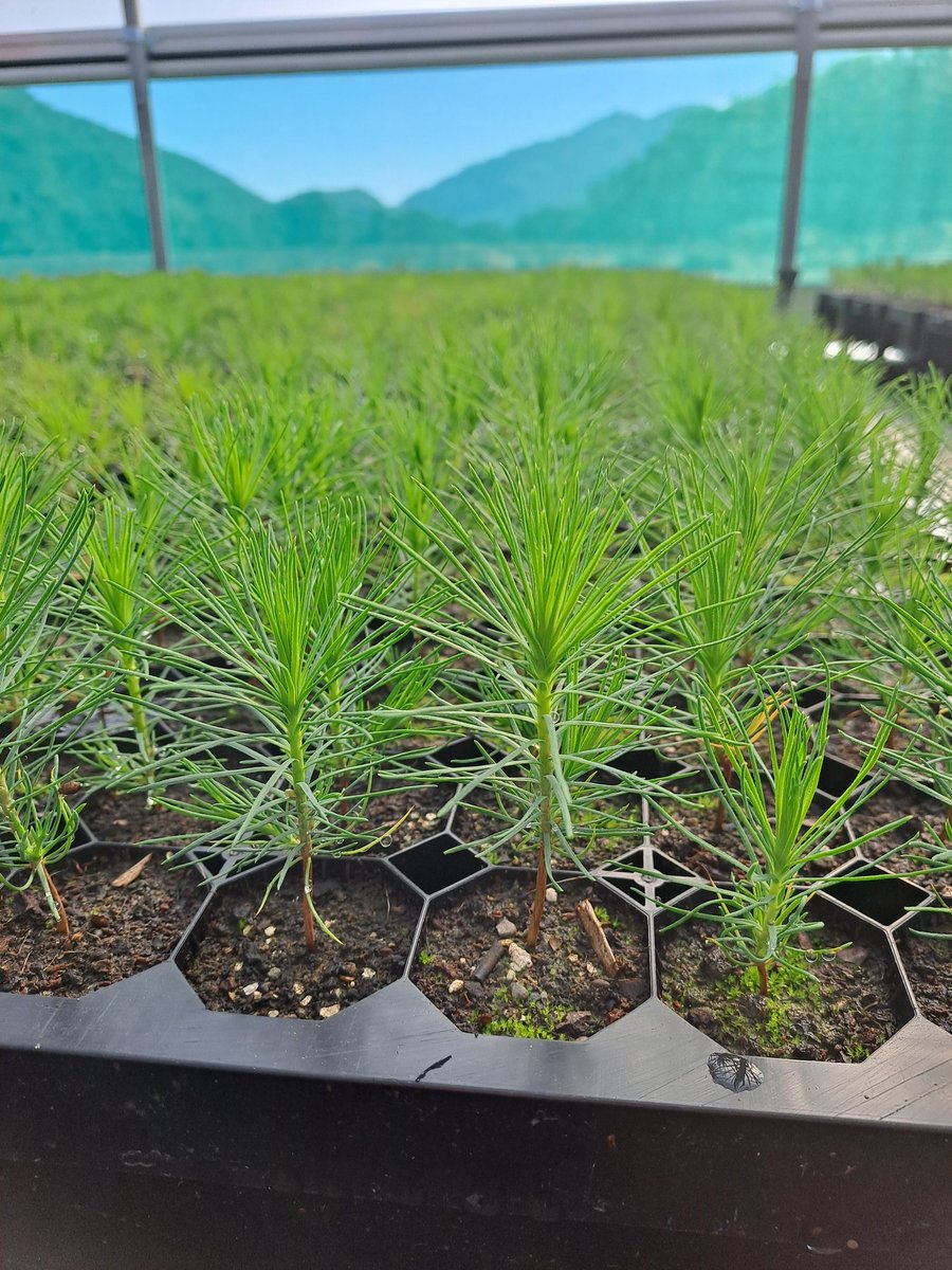 Countryside Trust tweet media