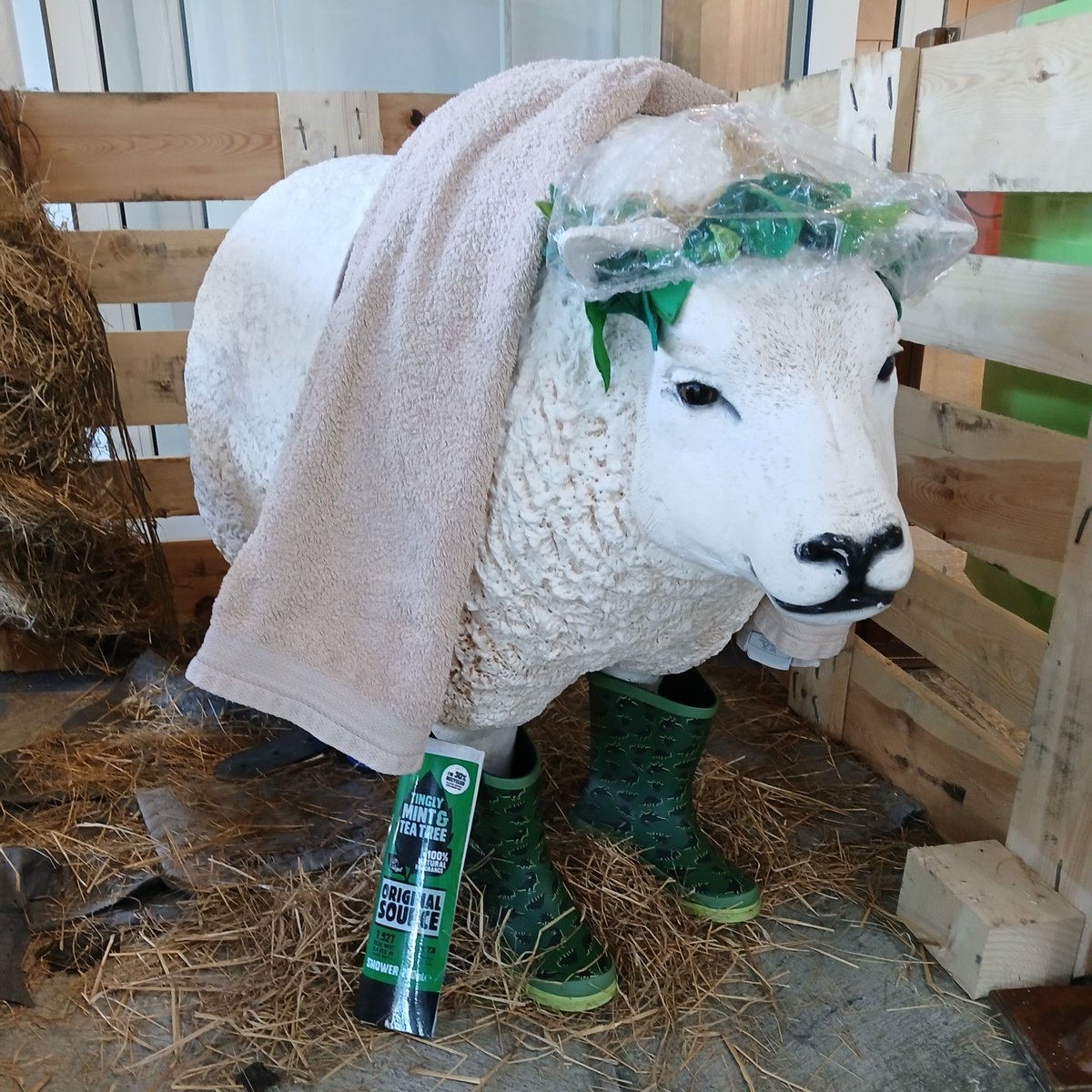 Segedunum Roman Fort (@segedunumfort) on Twitter photo Ewe-lysses of Woolsend has heard there might be a bath house somewhere at the Fort. She's all ready to go find it with her towel, shower cap and her favourite shower gel.
#FindTheFlock <a href="/IllumSheep/">Illuminated Sheep</a> <a href="/QueensHall/">Queen's Hall Arts, Hexham</a> #HadriansWall <a href="/NTCouncilTeam/">North Tyneside Council</a> #Wallsend Ewe-lysses of Woolsend has heard there might be a bath house somewhere at the Fort. She's all ready to go find it with her towel, shower cap and her favourite shower gel.
#FindTheFlock <a href="/IllumSheep/">Illuminated Sheep</a> <a href="/QueensHall/">Queen's Hall Arts, Hexham</a> #HadriansWall <a href="/NTCouncilTeam/">North Tyneside Council</a> #Wallsend