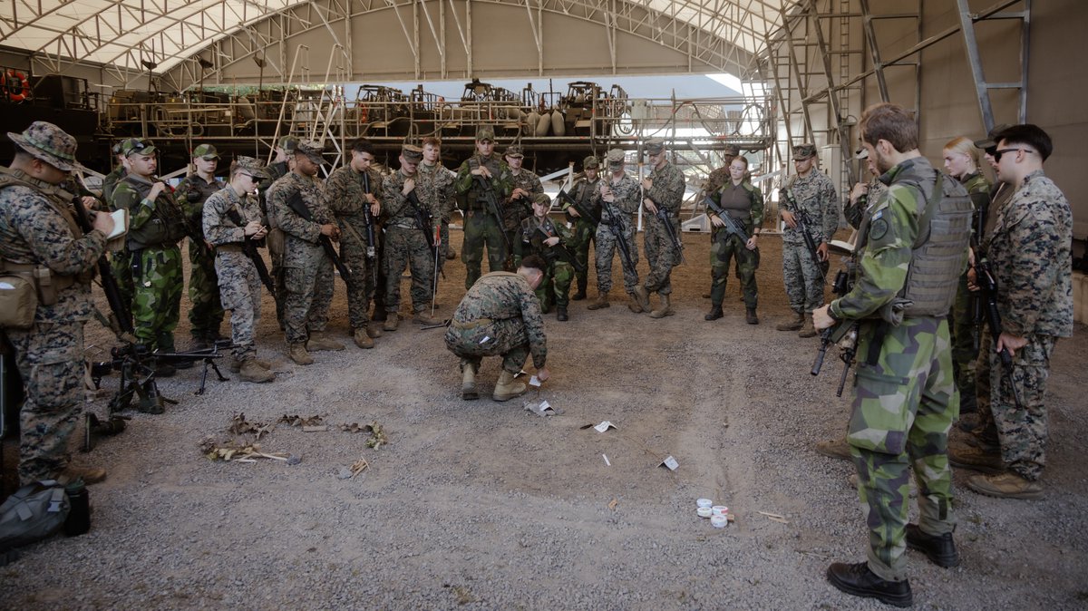 USMCFEA's tweet photo. U.S. Marines with Marine Rotational Force-Europe and Swedish Marines with the 1st and 4th Amphibious regiments in Exercise Archipelago Endeavor 24.

@Swedish_Navy, @US_EUCOM, @NATO, @USMC

#ARCHIPELAGOENDEAVOR24 #STRONGERTOGETHER #WeAreNato #StrongAndStrategic #ReadyAndPostured https://t.co/qJyGwUS9Ri