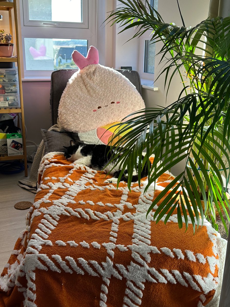 I’ve had over 4 hours of meetings today and this taunting me from like two 2 feet away the whole time.

Actual torture.