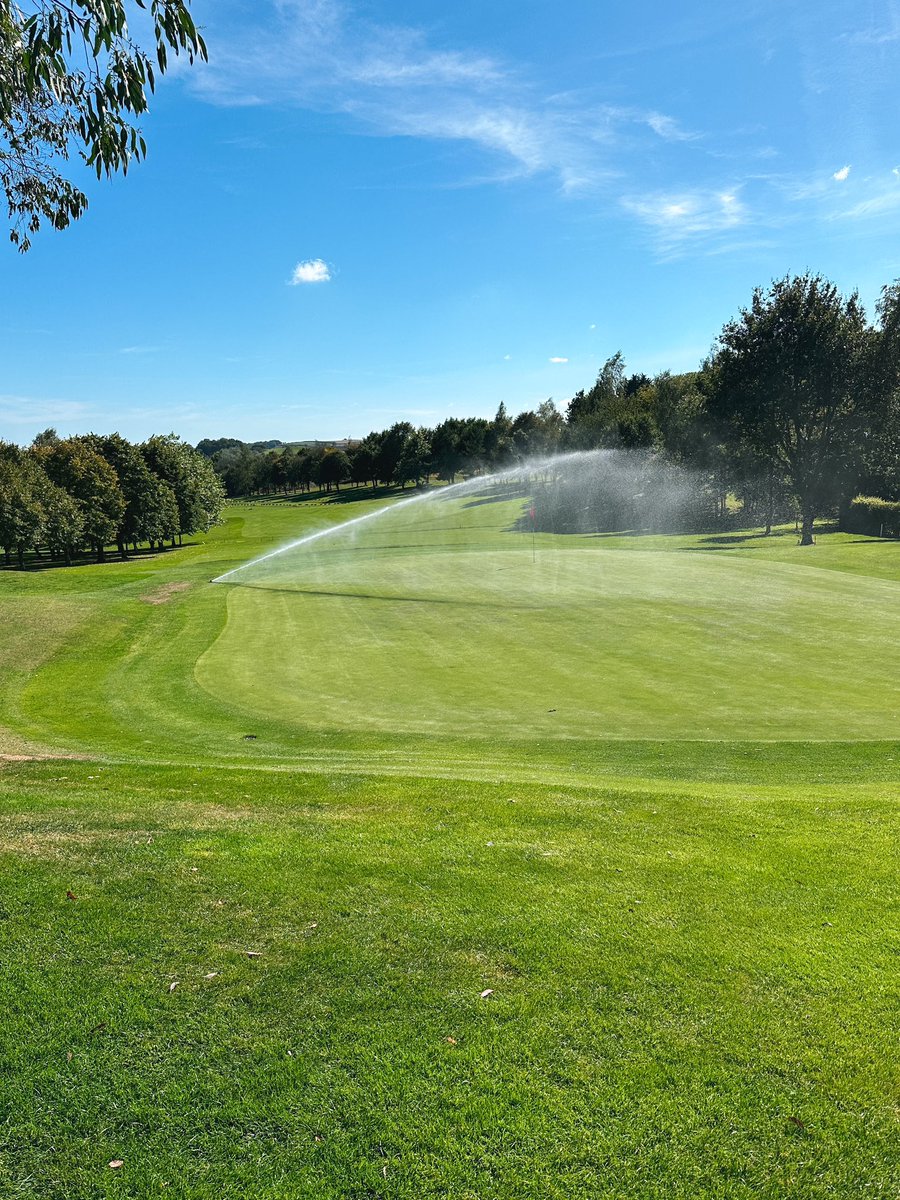 Wes Henshaw tweet media