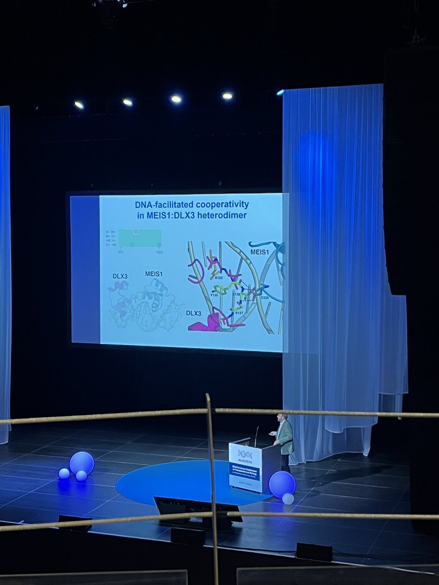 TizRic5's tweet photo. Full house even at the third floor for the closing keynote @jussitai of the second day at #ECCB2024 @ECCBinfo. Complexes can be in contact by one single residue and it is still not possibile to obtain such a thing from predicting tools. 
#bioinformatics #computationalbiology https://t.co/Qgz7l4S2oP