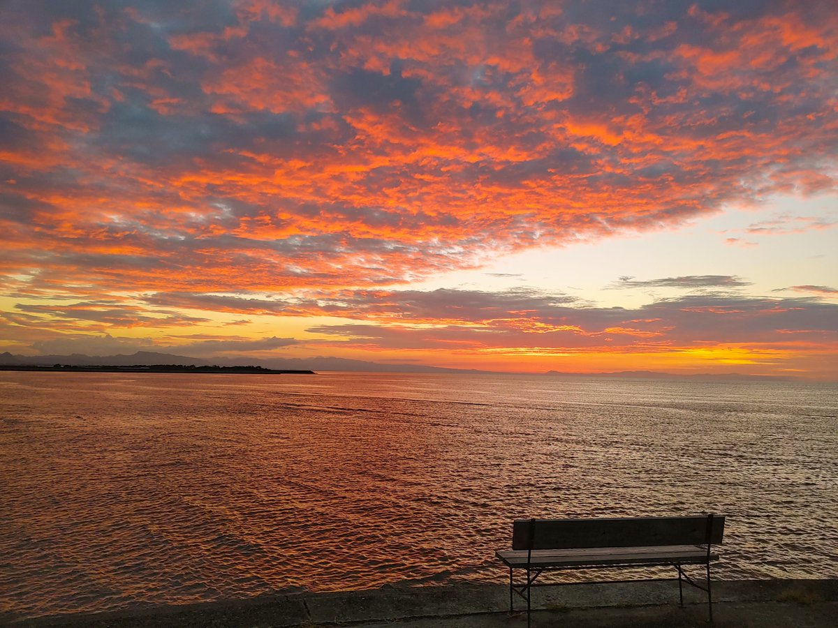 dommy925's tweet photo. フォゼちゃと夕日に染まる干潟
#フォゼ尾といっしょ https://t.co/sy0MPP3XcW