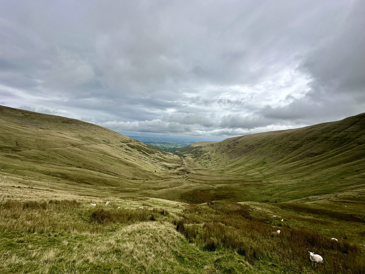 Tom Wilde tweet media