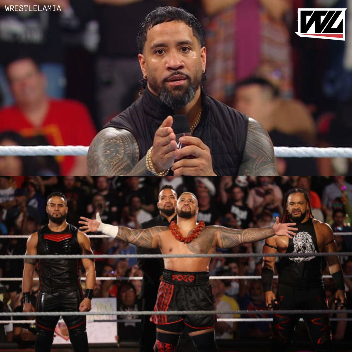 Wrestlelamia.com tweet media