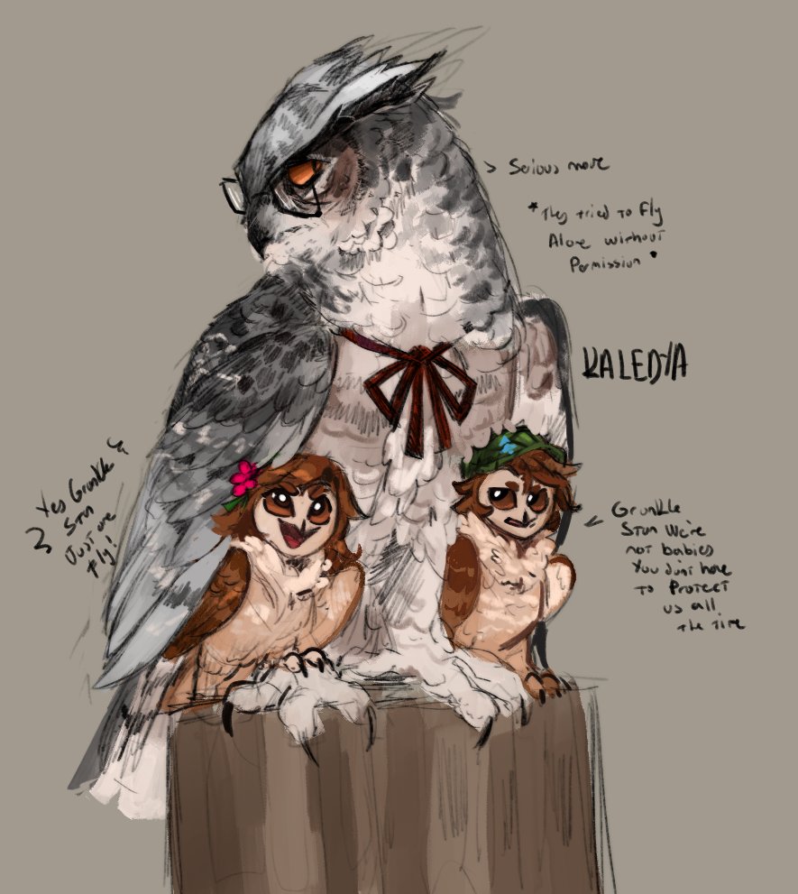 I recently rewatched Guardians of Ga'Hoole and I wanted to draw Stan Dipper and Mabel as owls. I hope you like it.
#GravityFalls