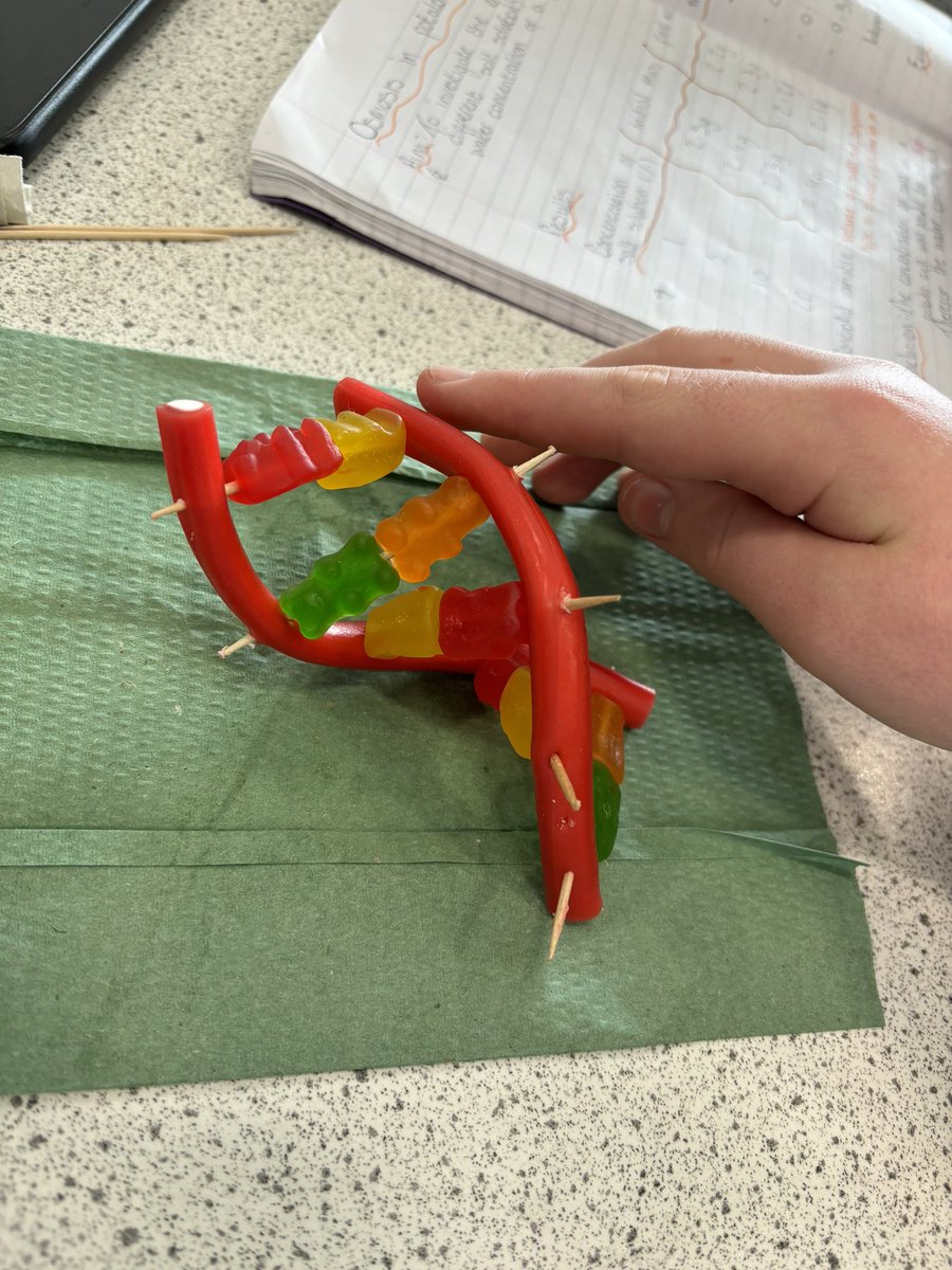MissGalang23's tweet photo. S4’s @StModansHS making their own DNA sweets. This activity always goes down a treat 🧬 🍬 https://t.co/IKRUkJlpj9