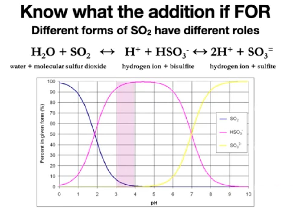 Let's take a look back at harvest tips focused on preventing spoilage.

Tip #10: Make SO2 Additions Count - how do SO2 additions from fruit processing to barrel affect your wine’s style and safety? 

youtu.be/dFlY1iEjPBM

#vawine #winescience #winemaking #harvest2024