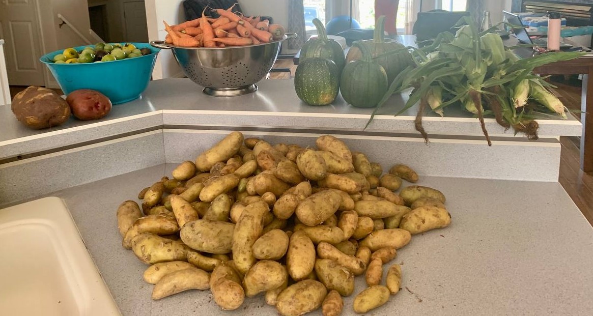 ‼️Appreciation Post ‼️
We have the best neighbours in Peace River who gifted us with fresh produce 🥰Thank You!