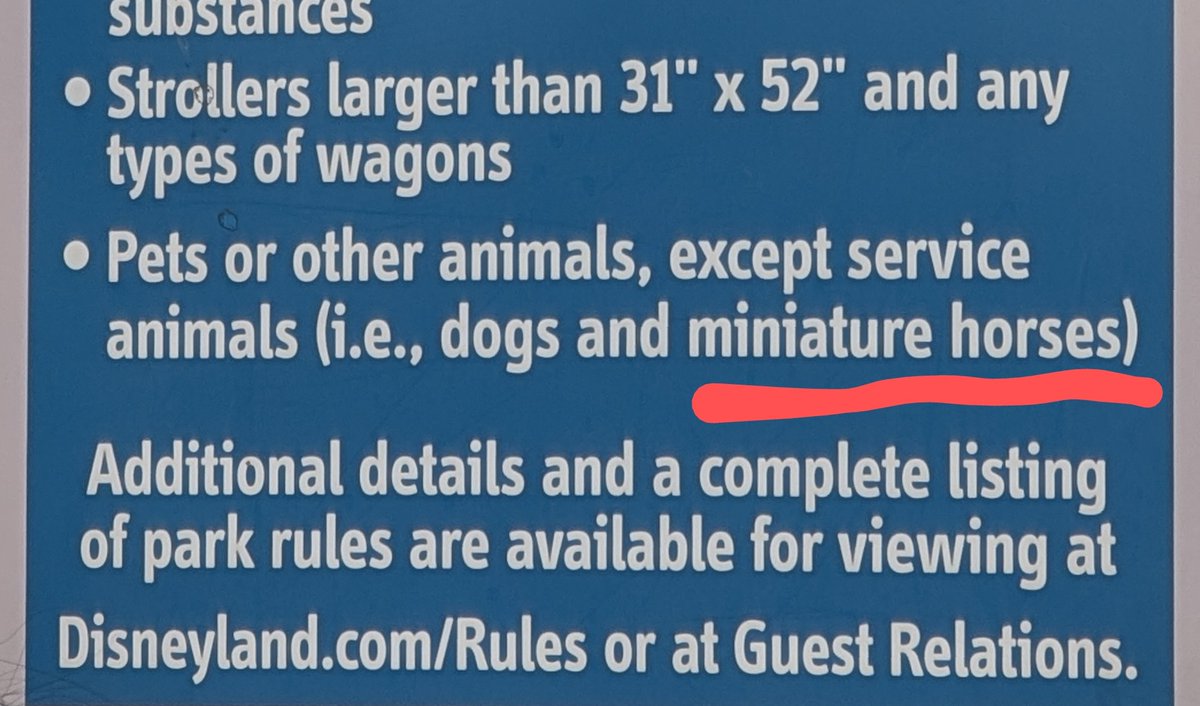 DoomSnails's tweet photo. Jawnzun noticed that it's a thing at Disney too. We looked it up and they don't sound any different than service dogs @legend_tuba https://t.co/pX2h2fElwx