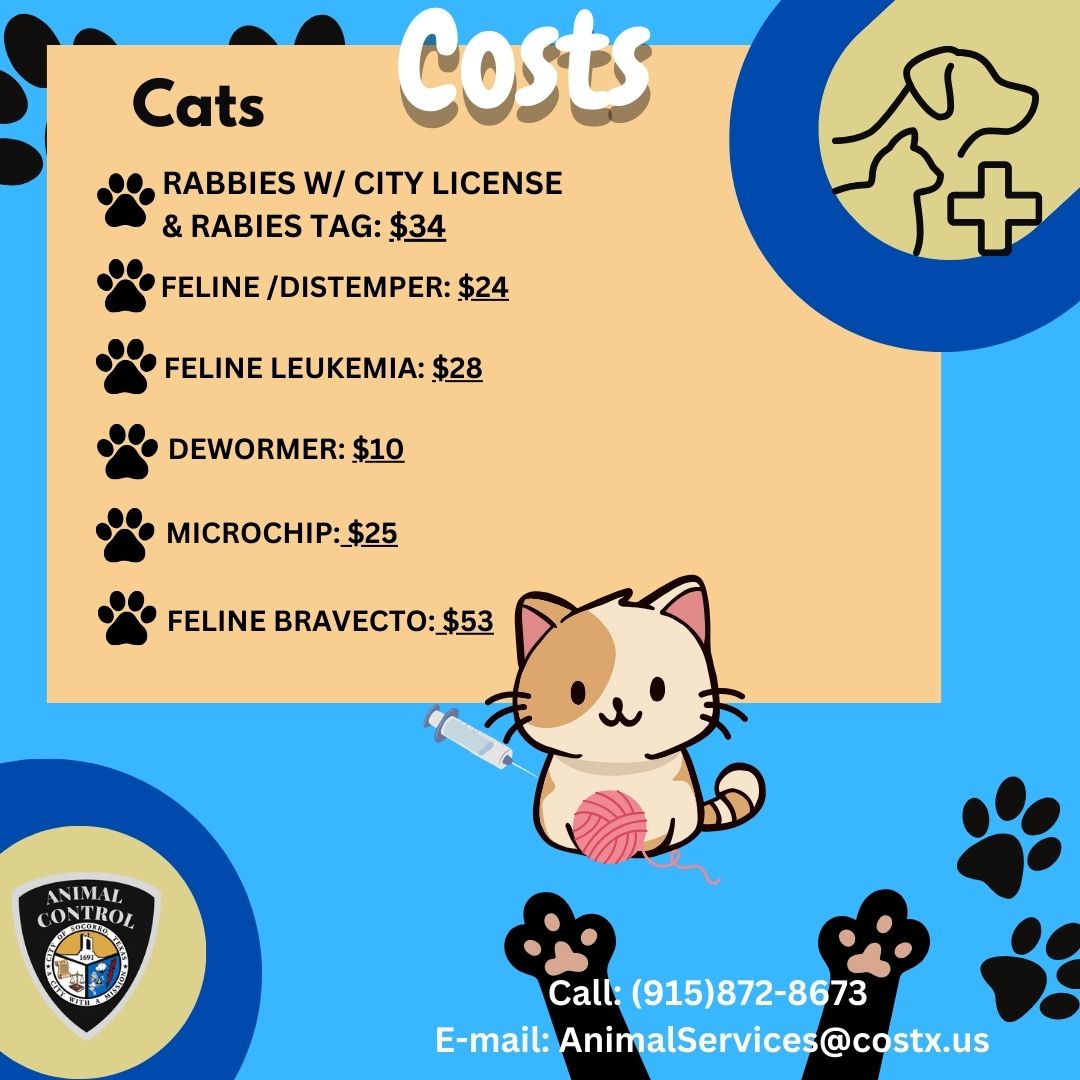 City_of_Socorro's tweet photo. The COS Animal Control invites you to the upcoming Mobile Pet Clinic for low-cost vaccines and microchips! On Sunday, September 29th at the Walmart neighborhood, 10301 Alameda Ave, from 8 AM- 12PM. For more information please call: 915-872-8673๐พ
#acitywithamission #socorrotexas https://t.co/ypRMQ5Gajn