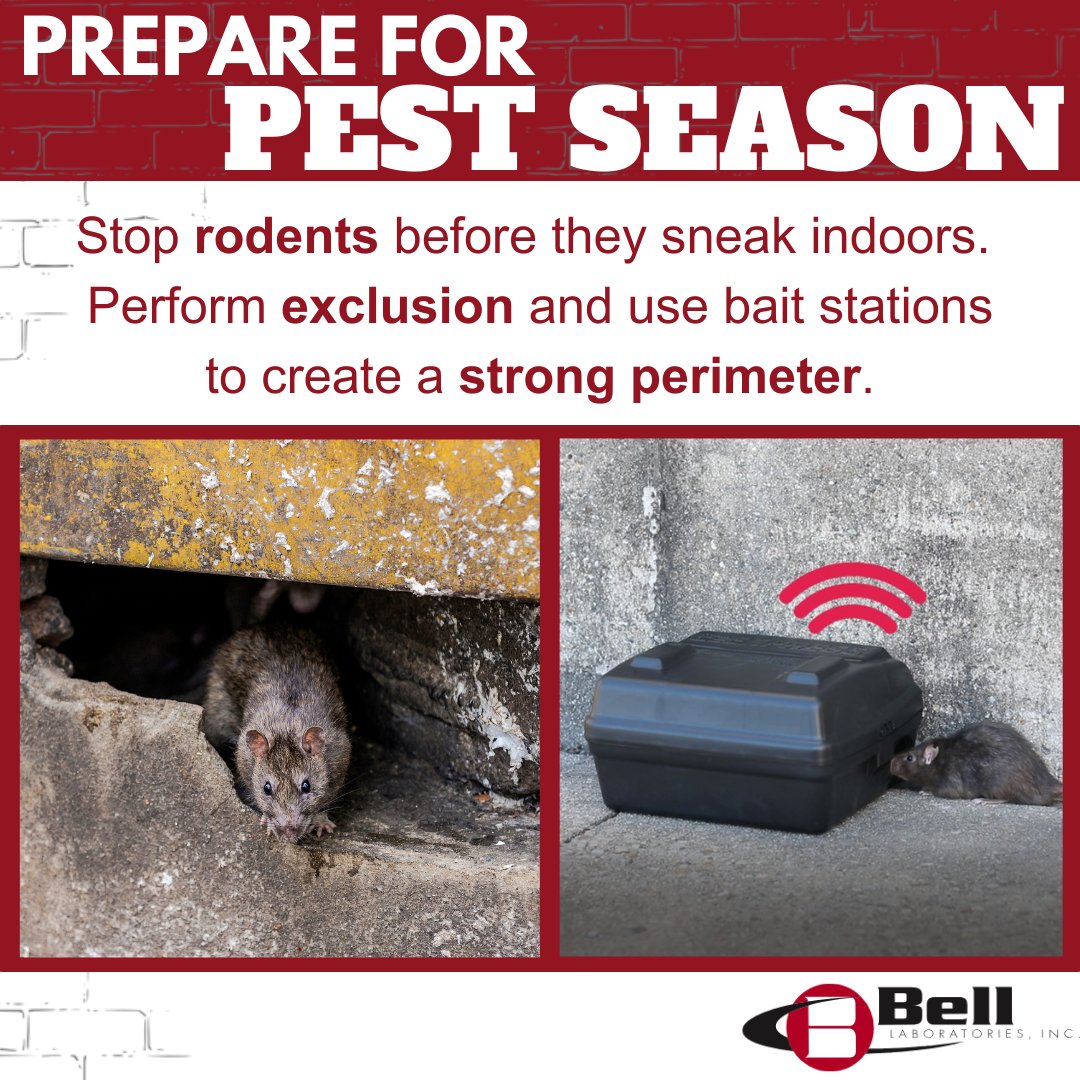 Bell Laboratories, Inc. tweet media