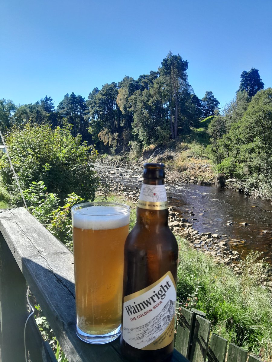 WayneMiller tweet media