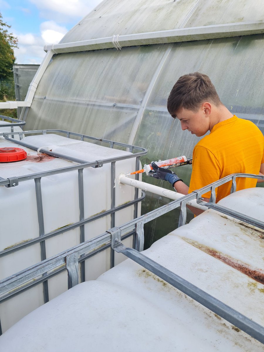 Togher Community Garden tweet media