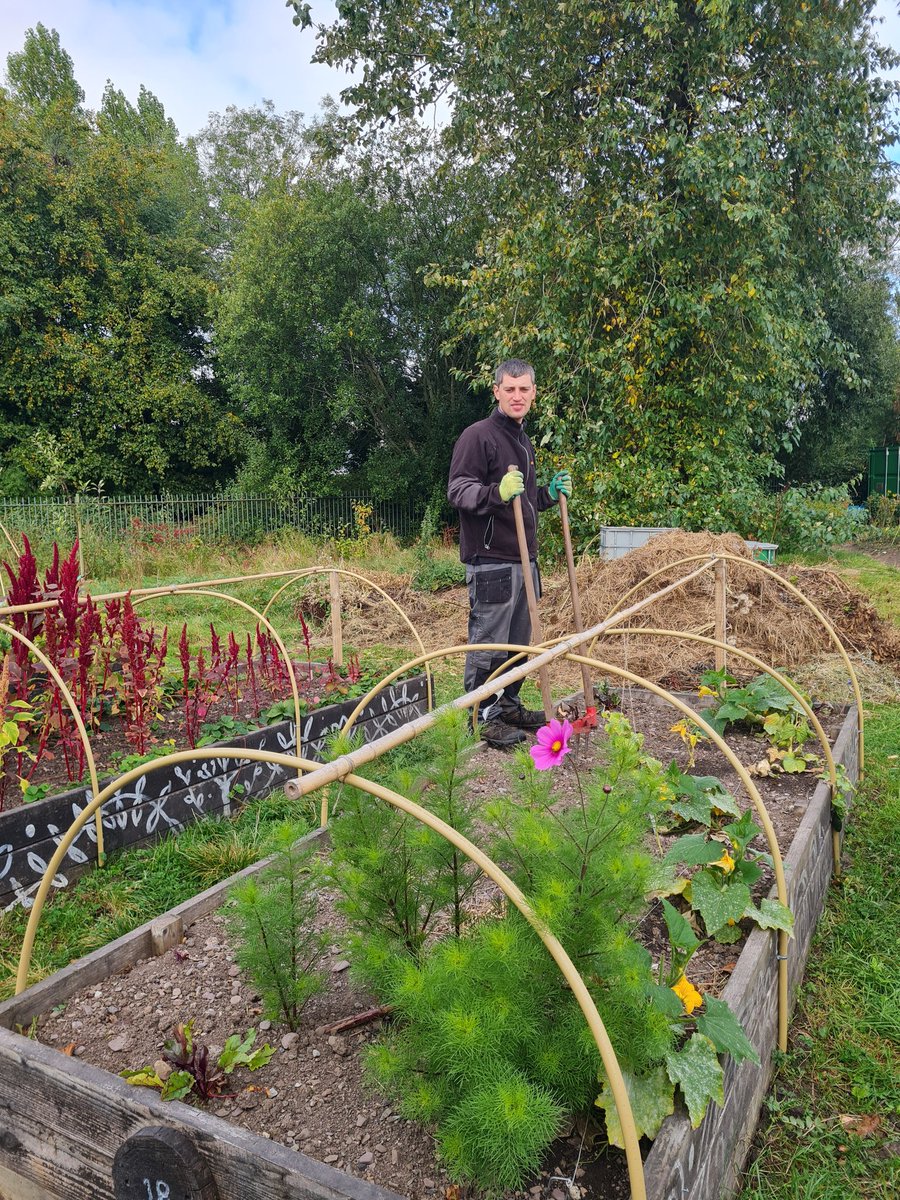 Togher Community Garden tweet media