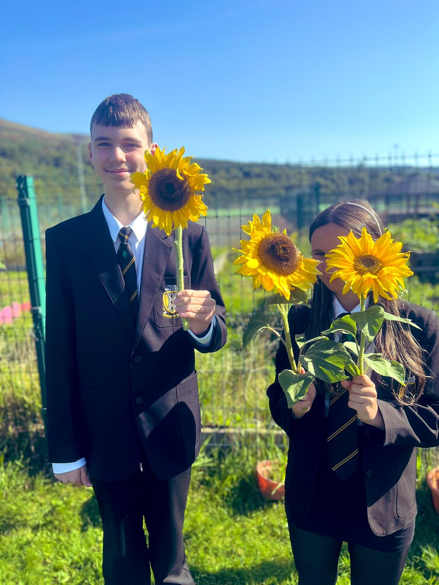 Miss.Pearson - Maesteg School tweet media