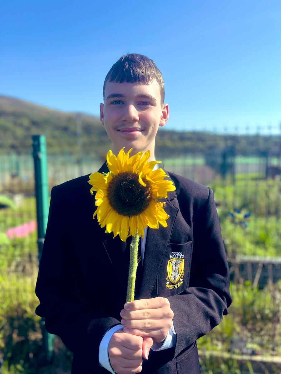 Miss.Pearson - Maesteg School tweet media