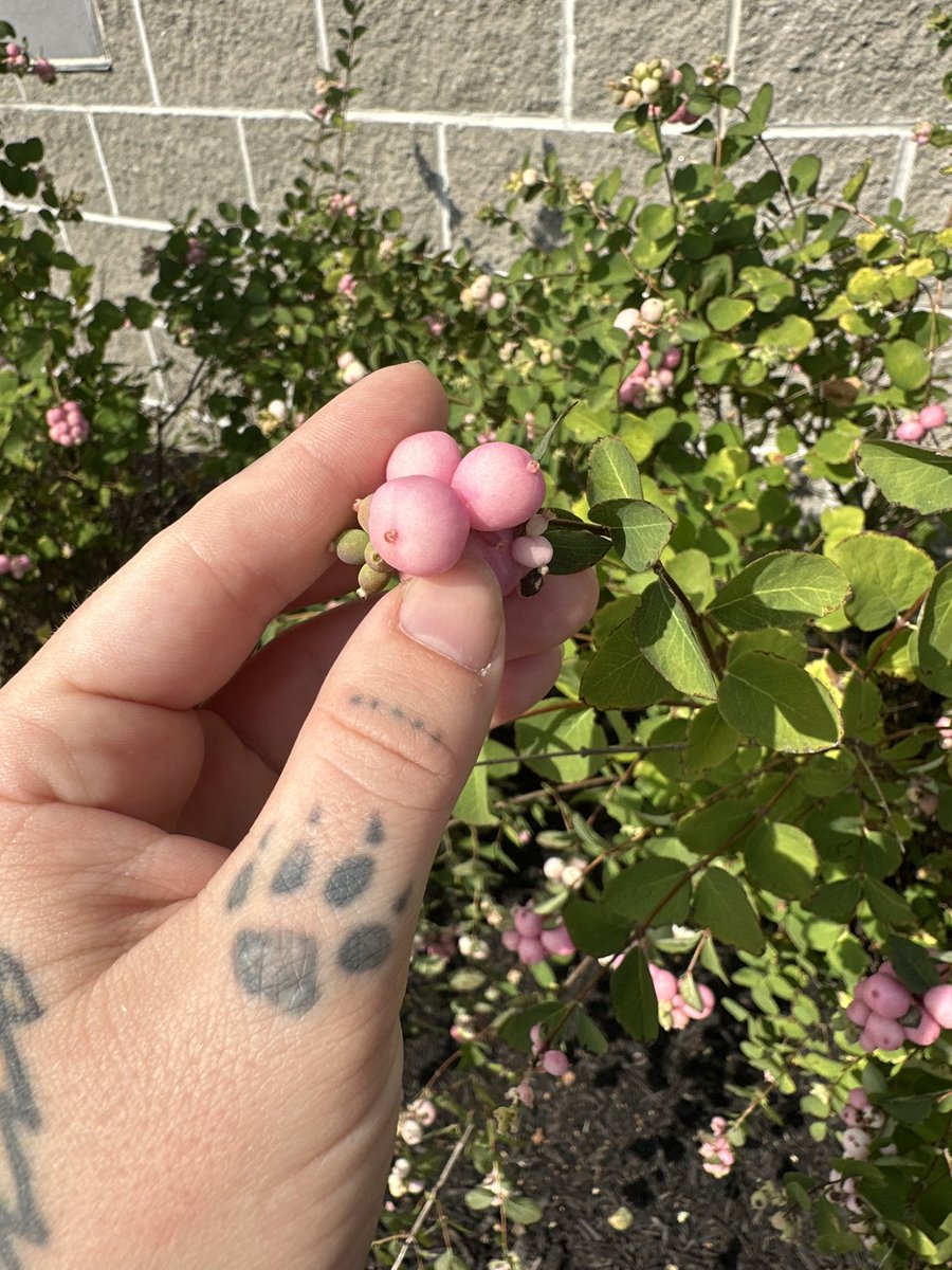 oh hey, it’s that guy again tweet media