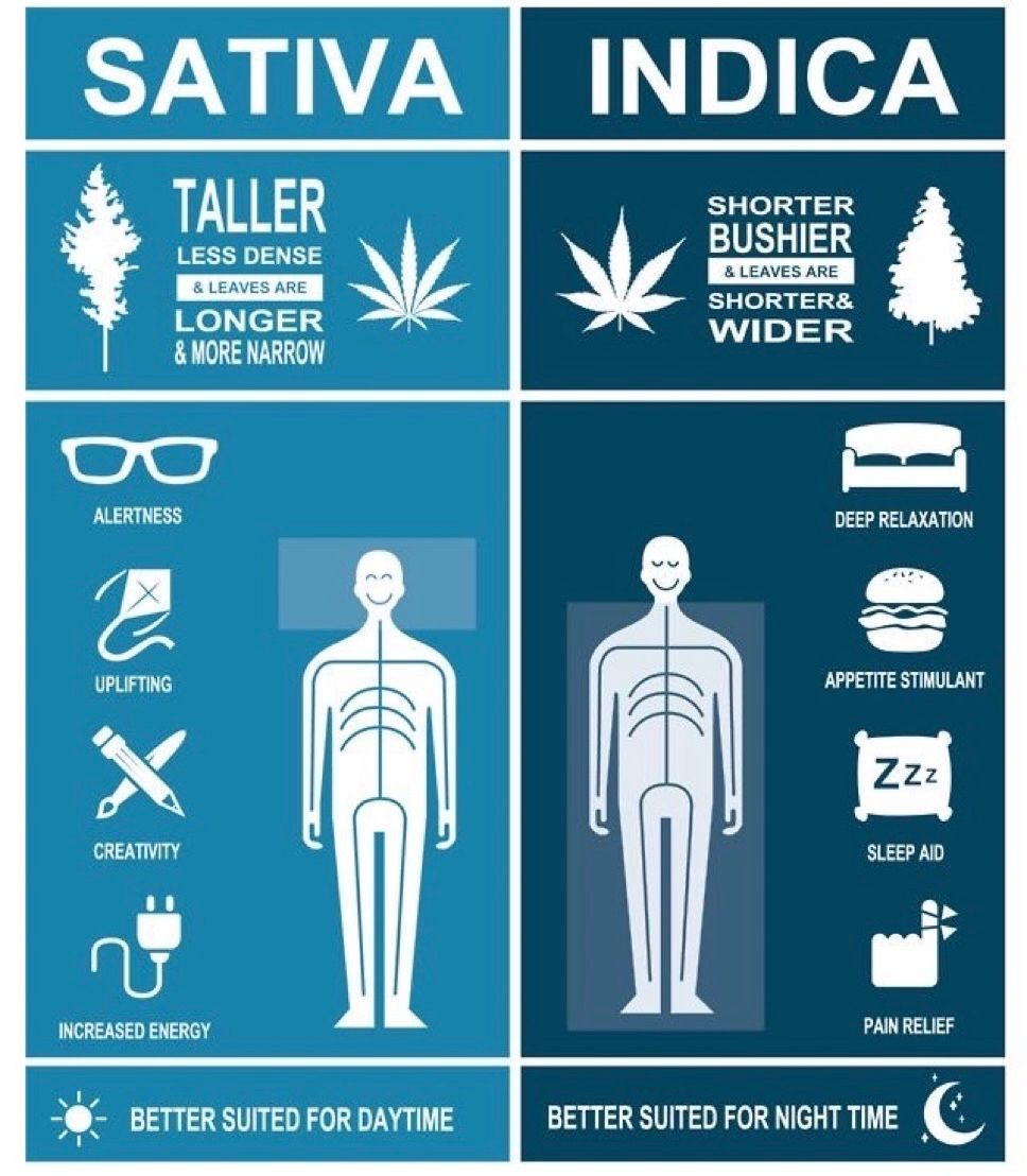 GeniusPothead 💹🧲 tweet media