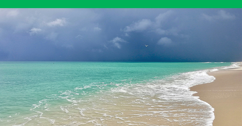 GMS Health Insurance tweet media