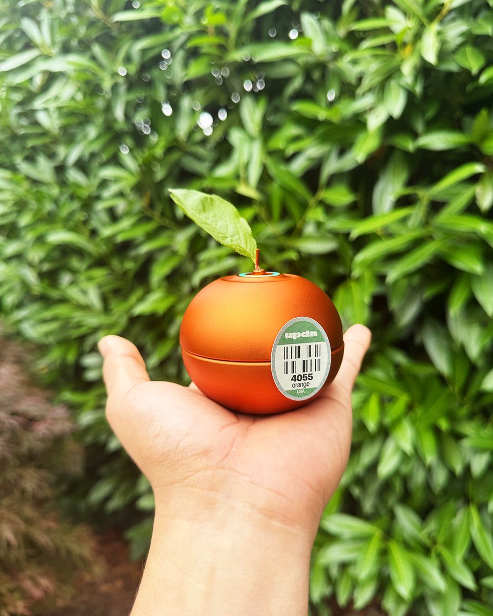 Bryan_4A's tweet photo. 🍊✨

@AndrewBergen https://t.co/YiWPDcJYPJ