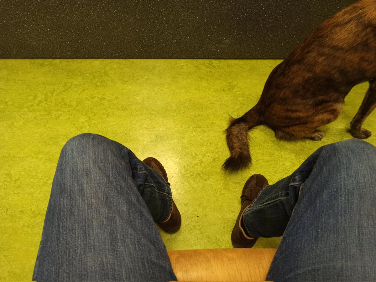 Mausebaer17's tweet photo. #WaFubo beim Tierarzt. Niemand trägt eine Maske. Ich überlege, ob ich wieder gehe. https://t.co/Cscr1udVAm