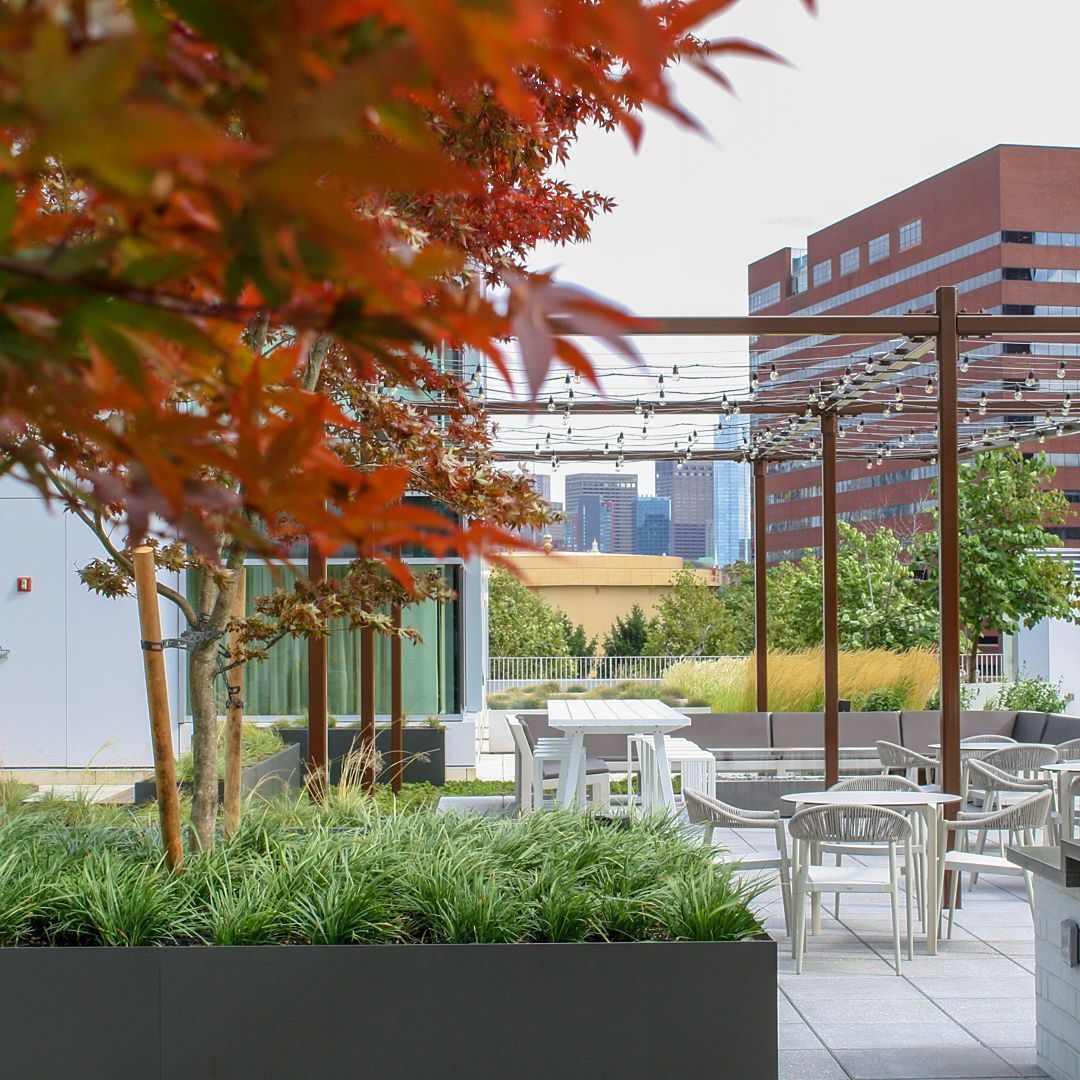 Recover Green Roofs tweet media