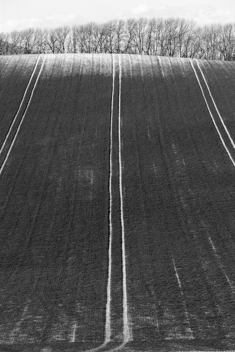 The Arundel in the South Downs Exhibition continues... This is 'Field Above Firle'. (c) Tom Lee.
It is open 10am - 4pm until Sunday this week. After that, the exhibition continues, but check the exact times on our website
arundelmuseum.org/whats-on