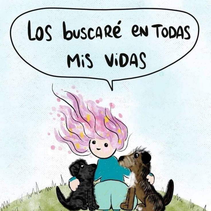 Buenos días 🐶❤️‍🩹
