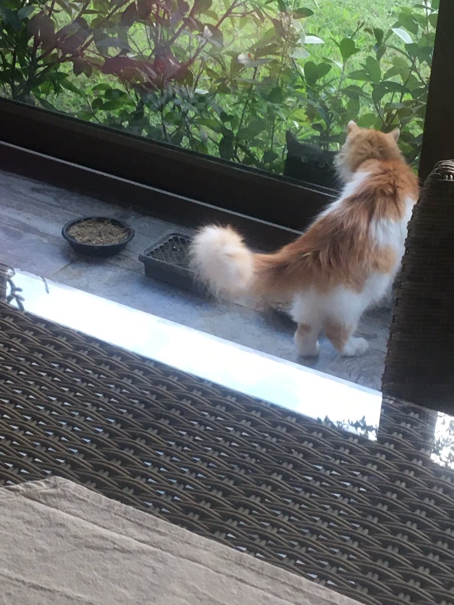 Yaf sem salamk mışın buvası bemim efimm !!