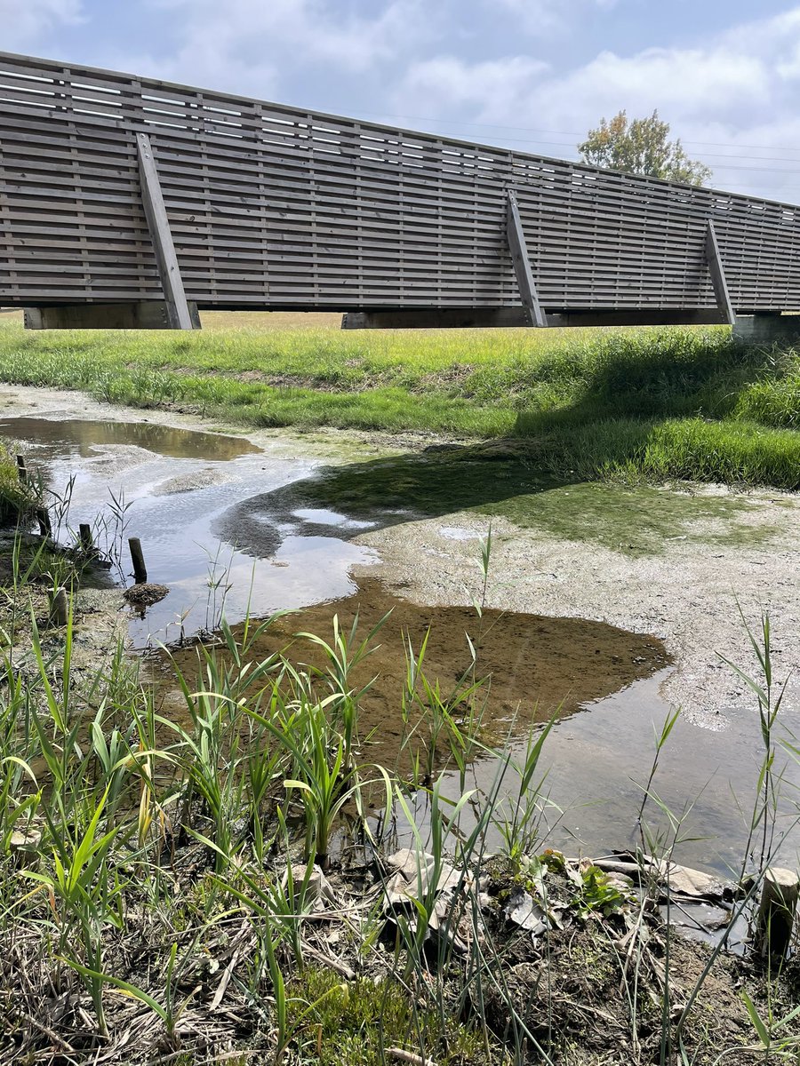 StreamScape project sampled 16 urban streams in Aveiro city. In each urban stream were sampling the ES of provisioning, regulating (e.g. temperature regulation), cultural and urban biodiversity (e.g. diatoms). 
We thanks the logistical support provided by <a href="/Universidade/">life</a> de Aveiro.