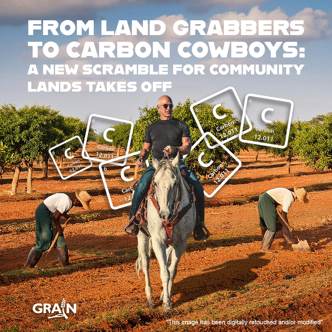 Billions in #CarbonCredits, but at what cost? GRAIN dataset exposes how fossil fuel giants &amp; "carbon cowboys" are driving land grabs in the global South, displacing communities and deepening the #ClimateCrisis. grain.org/e/7190