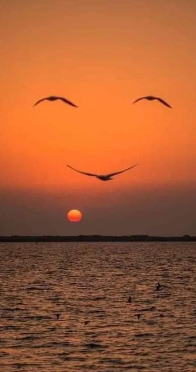 Its__sudar's tweet photo. #Red_Sky
The Sun is low on the horizon at sunrise and sunset. At these times of the day, sunlight has had to travel through more of the atmosphere to reach us. When light hits the atmosphere it is scattered, particularly when dust, smoke and other particles are in the air.
This scattering affects the blue part of the light spectrum the most. So by the time the sunlight reaches our eyes there is generally more of the red and yellow parts of the spectrum remaining.
Dust and smoke particles commonly build up in the atmosphere beneath high-pressure systems, which are generally associated with dry and settled weather.
If you’ve ever been to Darwin in the Northern Territory during the dry season (the period between May and September), you’ll know glorious red and orange sunsets are an almost daily occurrence.
This makes sense – the sky across the Top End at this time of year is often full of dust particles whipped up off the land by dry southeasterly winds, as well as smoke from bushfires burning through the landscape.