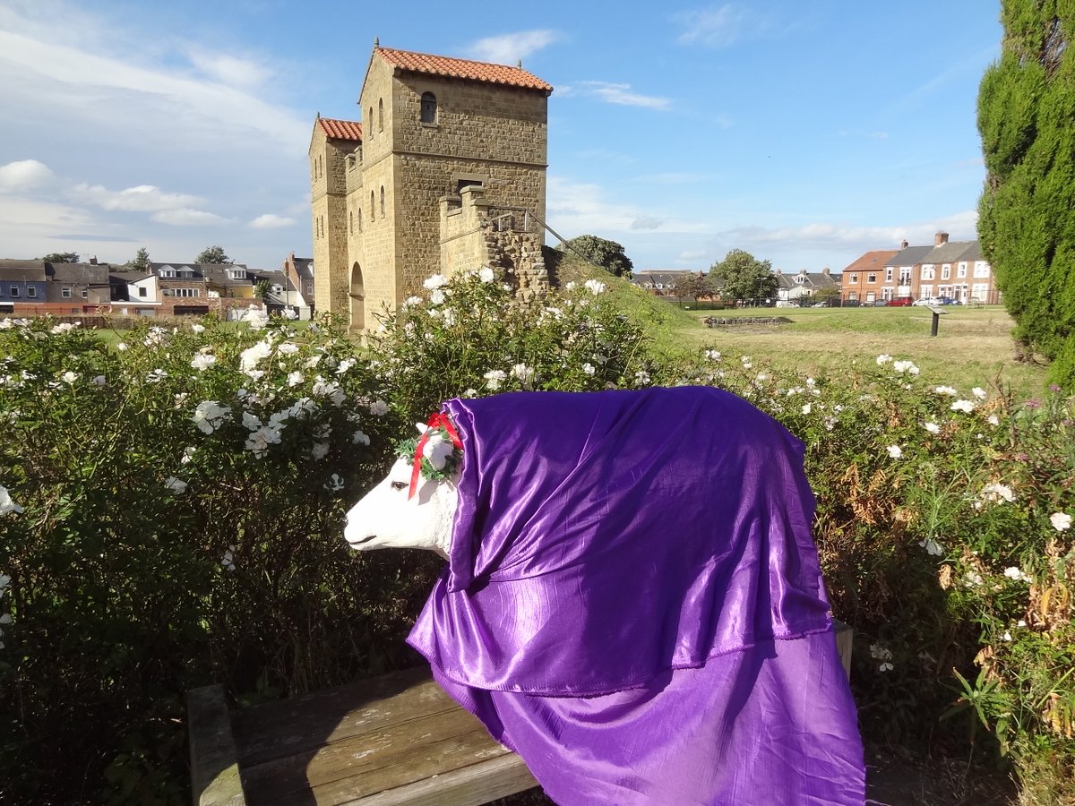 Arbeia Roman Fort (@arbeiaromanfort) on Twitter photo We caught Emperor Baah-beia taking some time out today from inspecting the Fort to enjoy the fragrance of the roses. Drop in to see the Emperor until Arbeia closes to the public on 29 Sept.
#FindTheFlock <a href="/IllumSheep/">Illuminated Sheep</a> <a href="/QueensHall/">Queen's Hall Arts, Hexham</a> <a href="/STyne_Council/">Official South Tyneside Council</a> #SouthShields We caught Emperor Baah-beia taking some time out today from inspecting the Fort to enjoy the fragrance of the roses. Drop in to see the Emperor until Arbeia closes to the public on 29 Sept.
#FindTheFlock <a href="/IllumSheep/">Illuminated Sheep</a> <a href="/QueensHall/">Queen's Hall Arts, Hexham</a> <a href="/STyne_Council/">Official South Tyneside Council</a> #SouthShields