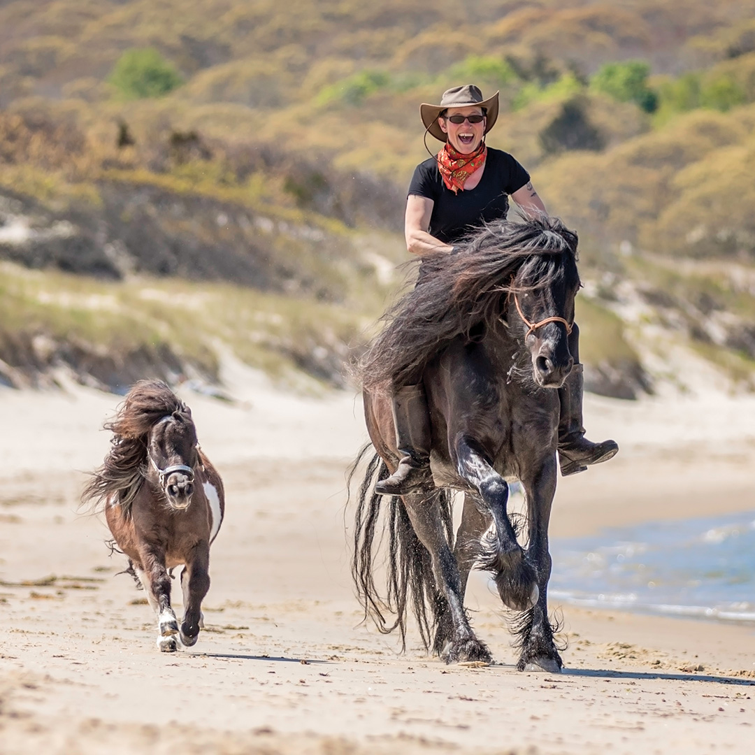 Horse Illustrated tweet media