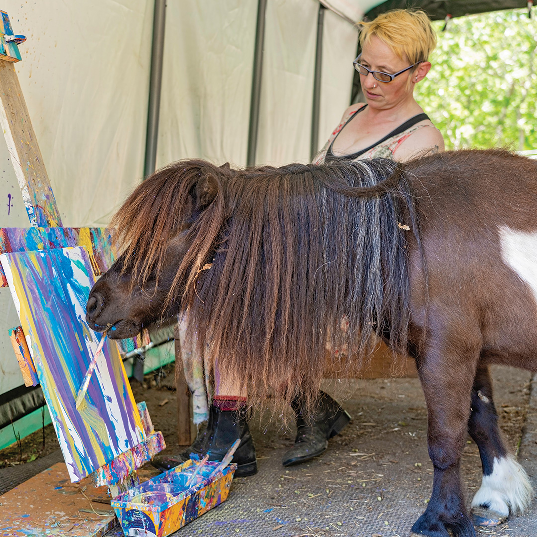 Horse Illustrated tweet media