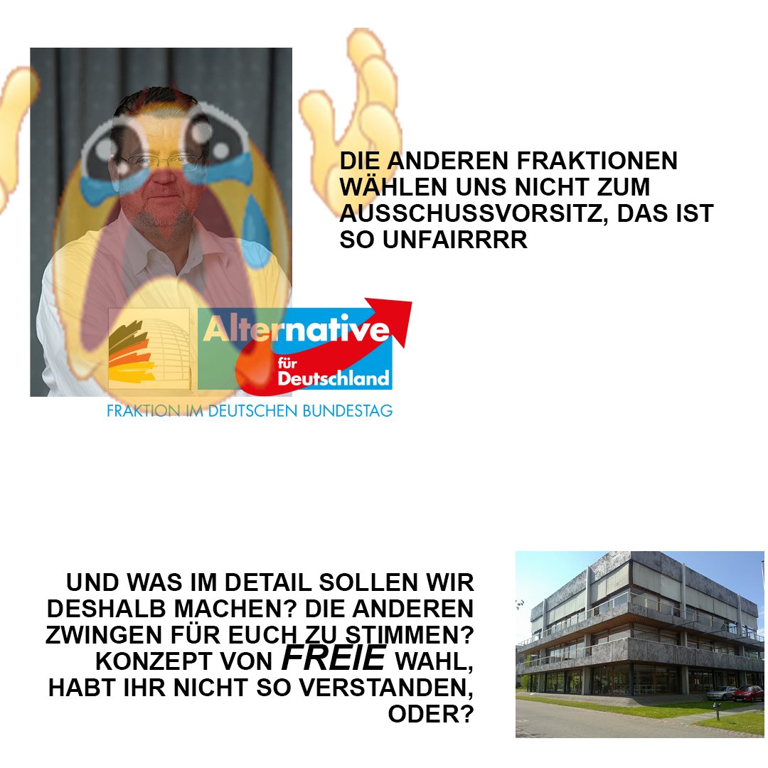 Simplified Bundesverfassungsgericht tweet media